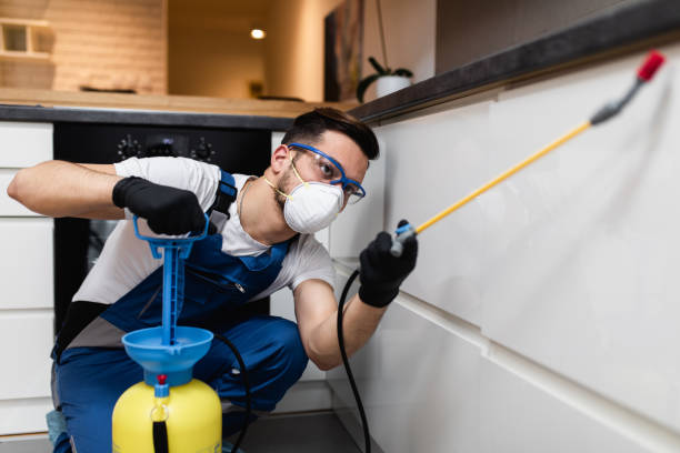 Best Ant Control Services  in Acworth, GA
