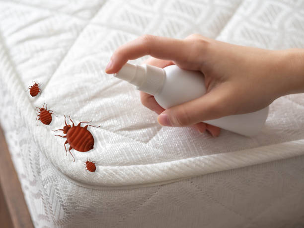 Best Flea Control Services  in Acworth, GA