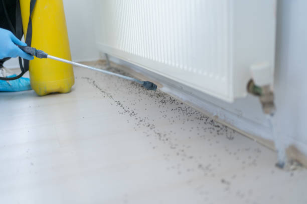 Best Pest Control Near Me in Acworth, GA