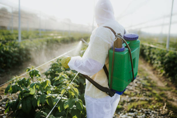 Best Affordable Pest Control Services  in Acworth, GA
